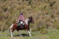 Ecuador-Haciendas-Cotopaxi Getaway